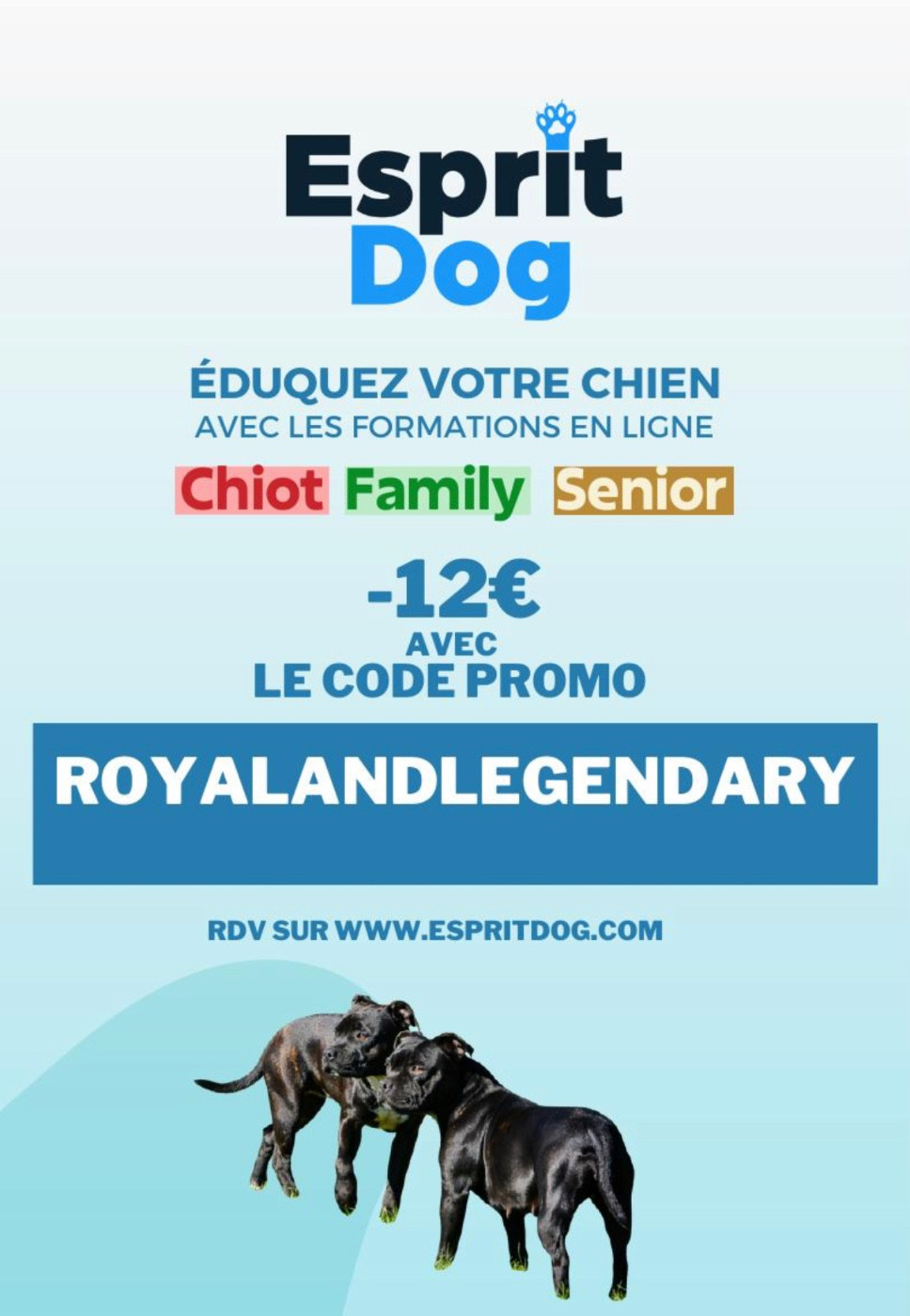 Éducation, ordres de base, règles de vie, compréhension du chiot ou de votre chien avec plus de 250 exercices